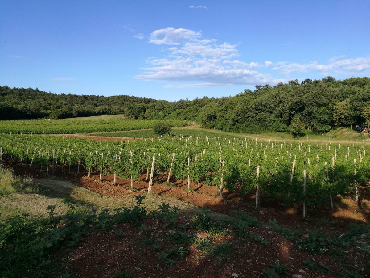 Agriturismo Ostrouska Sgonico Dış mekan fotoğraf